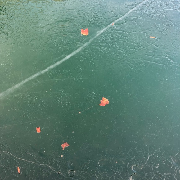 Meet your Posher, Sara - Picture 1 of 1